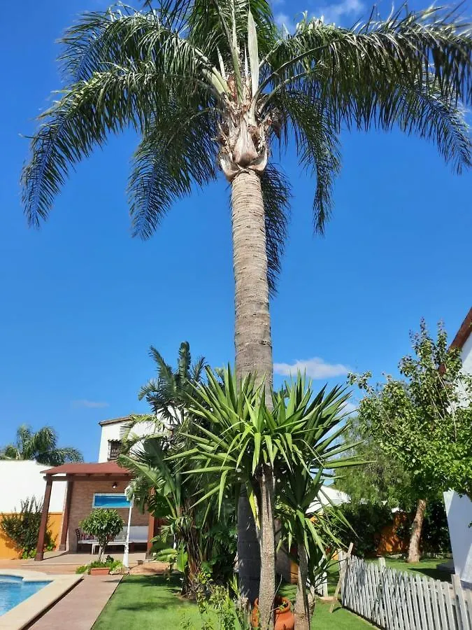 Chalet La Huerta Con Piscina Y Wifi Conil De La Frontera